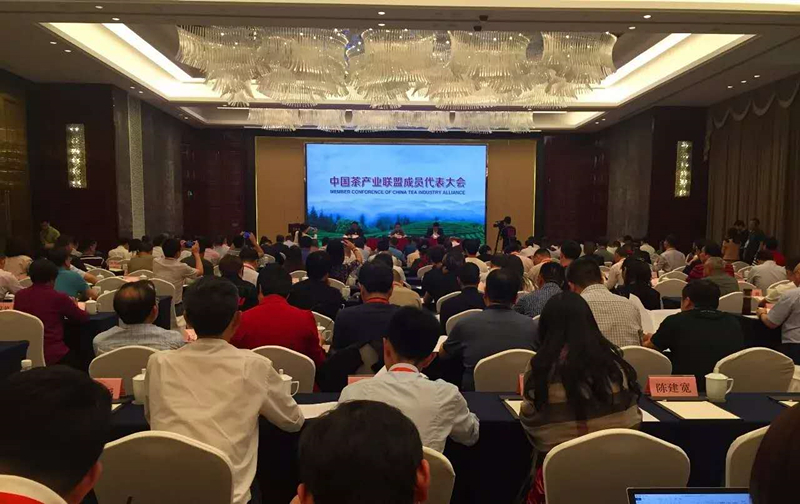 首届中国国际茶叶博览会系列报道之二         九洲(中国)集团入选中国茶产业联盟副理事长单位