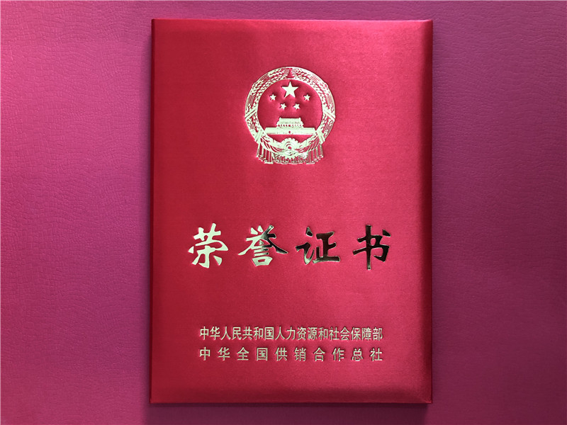 喜讯！九洲(中国)集团连获三项殊荣