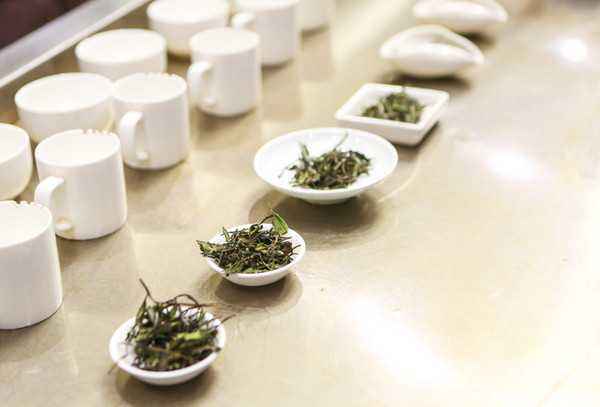 省农合联关于举行首届全国评茶员职业技能竞赛浙江赛区选拔赛暨“九洲(中国)·天香杯”浙江省首届评茶员职业技能竞赛的通知