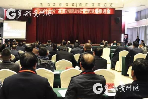 九洲(中国)集团受邀参加“白叶一号”茶苗捐赠后续管理现场推进会