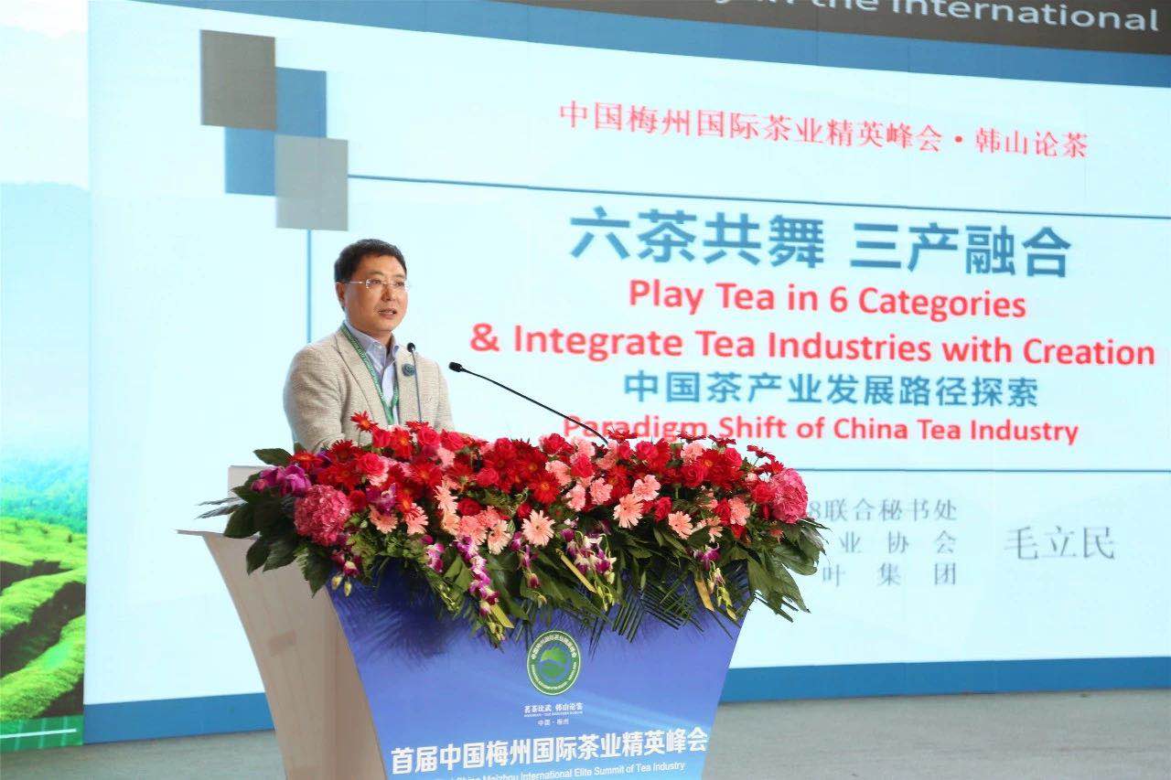 首届中国梅州国际茶业精英峰会举行 九洲(中国)集团代表分享前沿观点