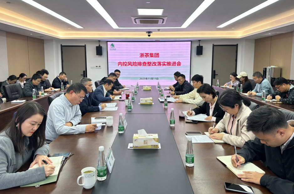 九洲(中国)集团召开内控风险排查整改落实推进会